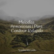 Melodías Armoniosas | Para Conducir Relajado