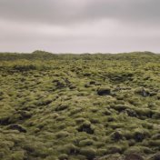 La Zona Del Sueño