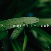 !!" Soothing Rain Sounds "!!