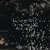 La Colección Completa De Relajación