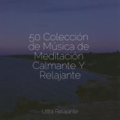 50 Colección de Música de Meditación Calmante Y Relajante