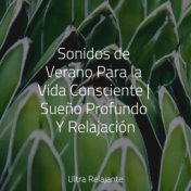 Sonidos de Verano Para la Vida Consciente | Sueño Profundo Y Relajación