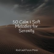 50 Calm & Soft Melodies for Serenity