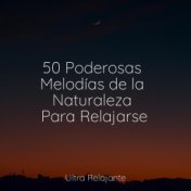 50 Poderosas Melodías de la Naturaleza Para Relajarse