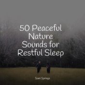 50 Peaceful Nature Sounds for Restful Sleep