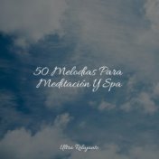 50 Melodías Para Meditación Y Spa