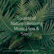 Sounds of Nature | Relaxing Music | Spa & Sleep