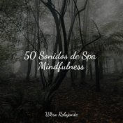 50 Sonidos de Spa Mindfulness