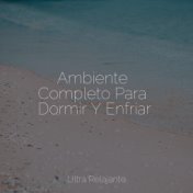 Ambiente Completo Para Dormir Y Enfriar