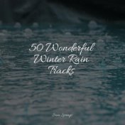 50 Wonderful Winter Rain Tracks