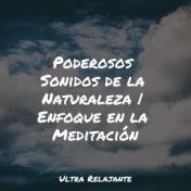 Poderosos Sonidos de la Naturaleza | Enfoque en la Meditación