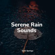 Serene Rain Sounds