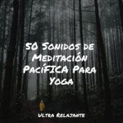 50 Sonidos de Meditación PacíFICA Para Yoga