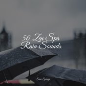 50 Zen Spa Rain Sounds