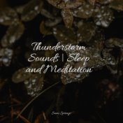 Thunderstorm Sounds | Sleep and Meditation