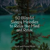 50 Blissful Sleepy Melodies to Relax the Mind and Relax