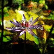 65 Mind Awakening