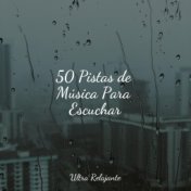 50 Pistas de Música Para Escuchar