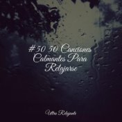 #50 50 Canciones Calmantes Para Relajarse