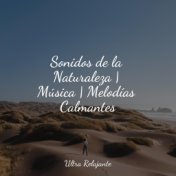 Sonidos de la Naturaleza | Música | Melodías Calmantes