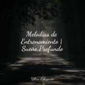 Melodías de Entrenamiento | Sueño Profundo