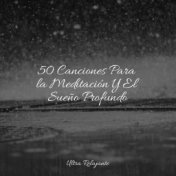 50 Canciones Para la Meditación Y El Sueño Profundo