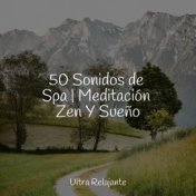 50 Sonidos de Spa | Meditación Zen Y Sueño