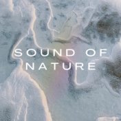 Sound of Nature