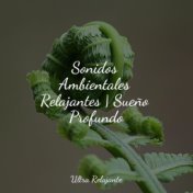 Sonidos Ambientales Relajantes | Sueño Profundo