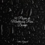 50 Piezas de Meditación Para Dormir