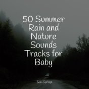 50 Summer Rain and Nature Sounds Tracks for Baby