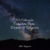 50 Colección Completa Para Dormir Y Relajarse
