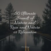 50 Ultimate Sounds of Nature and Rain and Nature or Relaxation