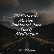 50 Pistas de Música Ambiental Para Spa Y Meditación