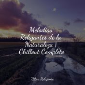 Melodías Relajantes de la Naturaleza | Chillout Completo