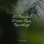 50 Peaceful Winter Rain Recordings