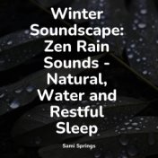 Winter Soundscape: Zen Rain Sounds - Natural, Water and Restful Sleep