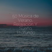 50 Música de Verano, Relajación Y Sueño Profundo