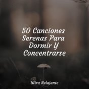 50 Canciones Serenas Para Dormir Y Concentrarse