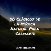 50 Clásicos de la Música Natural Para Calmarte