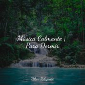 Música Calmante | Para Dormir