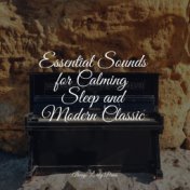 Essential Sounds for Calming Sleep and Modern Classic