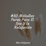 #50 Melodías Puras Para El Spa Y la Relajación