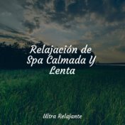 Relajación de Spa Calmada Y Lenta