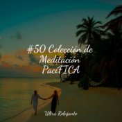 #50 Colección de Meditación PacíFICA