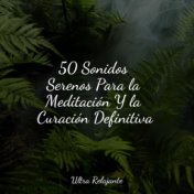 50 Sonidos Serenos Para la Meditación Y la Curación Definitiva