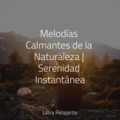 Melodías Calmantes de la Naturaleza | Serenidad Instantánea