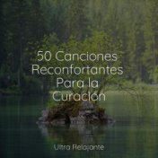 50 Canciones Reconfortantes Para la Curación