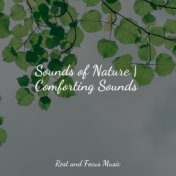 Sounds of Nature | Comforting Sounds