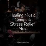 Healing Music | Complete Stress Relief Now